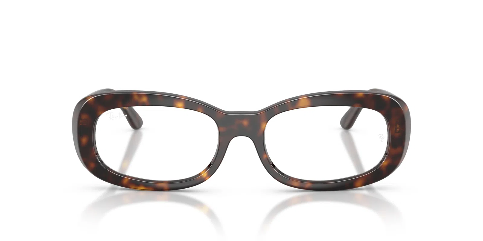 Ray-Ban 2221VF Eyeglasses - view 13
